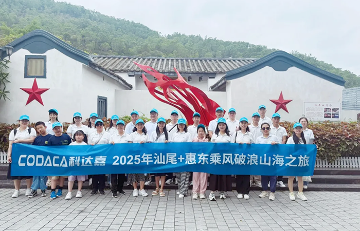 浓情端午 欢乐同行 │科达嘉汕尾、惠东乘风破浪山海之旅